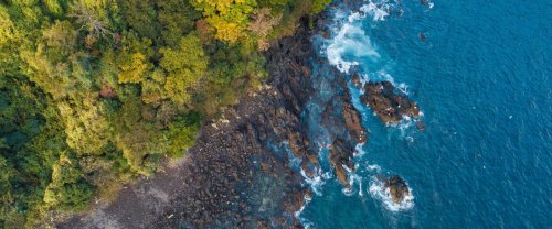 Les côtes japonaises sont envahies par les pierres ponces