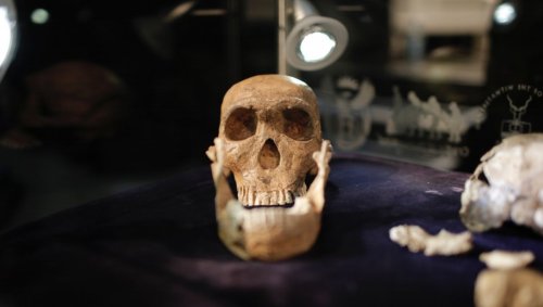 Le plus ancien lieu de sépulture n'a pas été créé par notre espèce