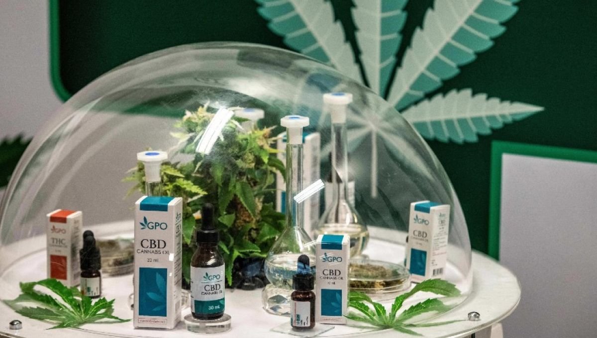 Le confinement a décomplexé la consommation de CBD