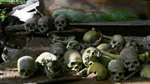 Plus de 300 corps: un massacre oublié mis au jour dans une ville russe attaquée par les Mongols