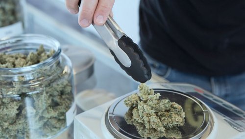 Dans l'État de New York, les condamnés pour vente de cannabis seront les premiers à en vendre légalement