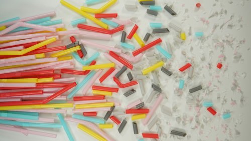 Microplastiques: de premières études laissent craindre un impact inquiétant sur notre organisme