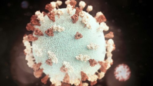 L'Alaskapox, ce mystérieux virus qui vient de faire un mort