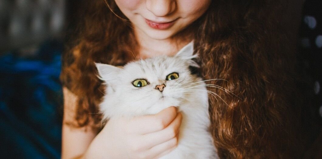 Les chats, des alliés de choix pour les autistes