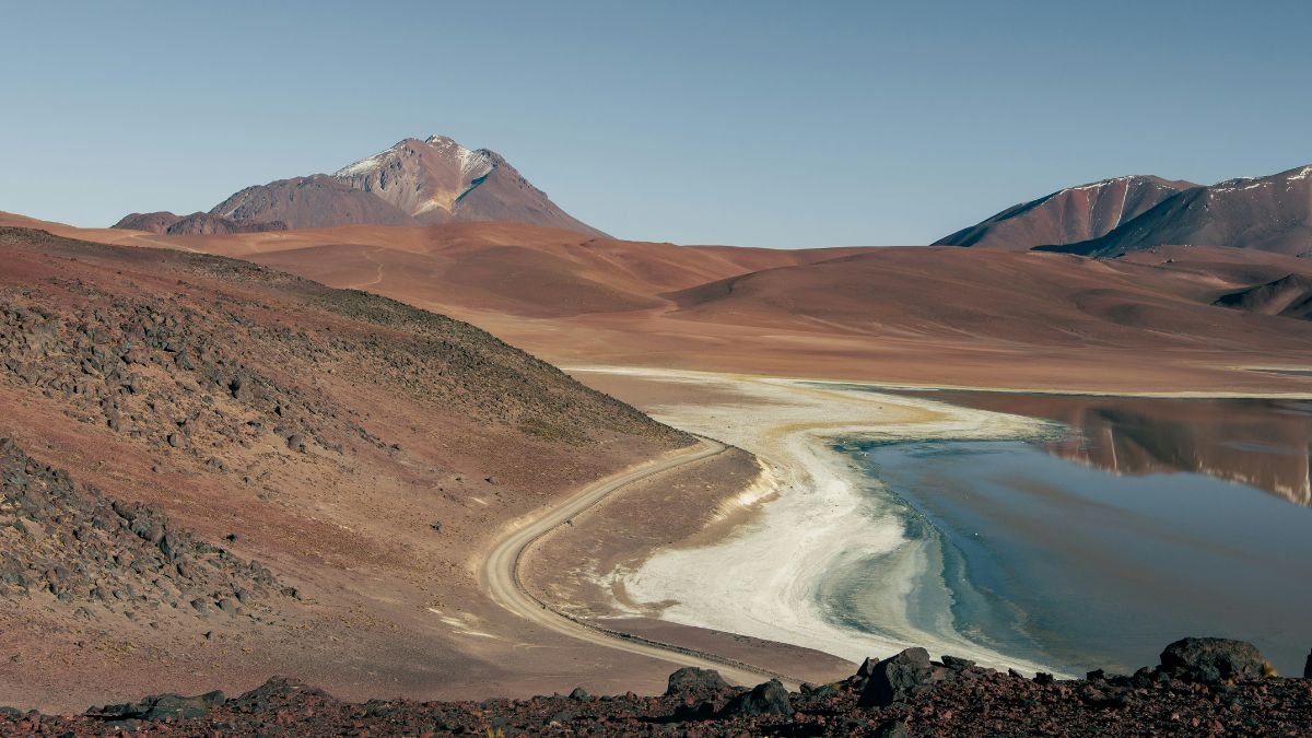 Le mystère des momies chiliennes aux tout petits cerveaux peut-être résolu