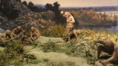 Ce que mangeaient vraiment les hommes préhistoriques