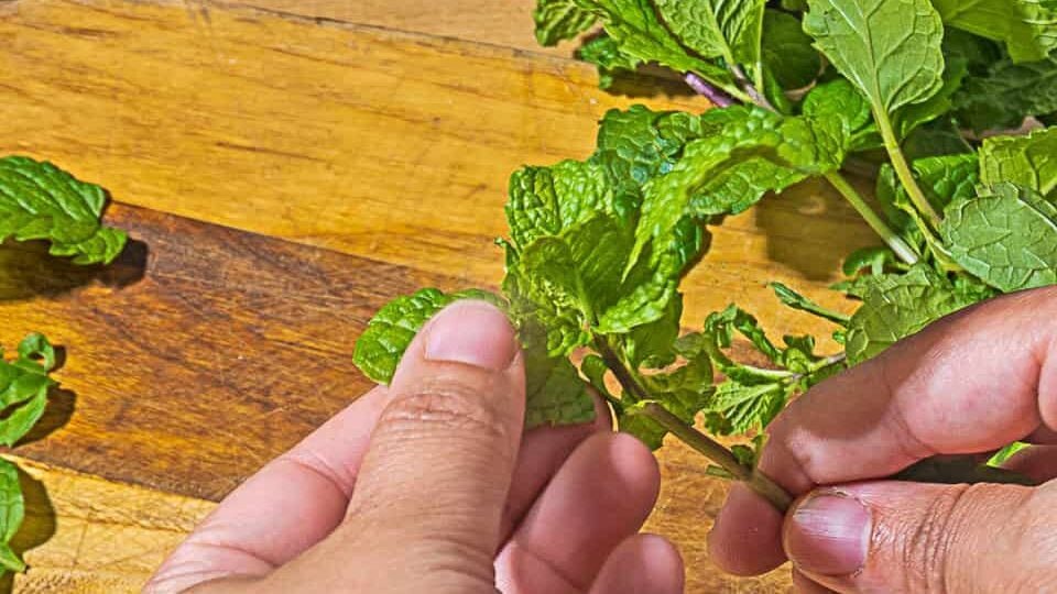 Stop Wasting Herbs! These 10 Recipes Save the Day