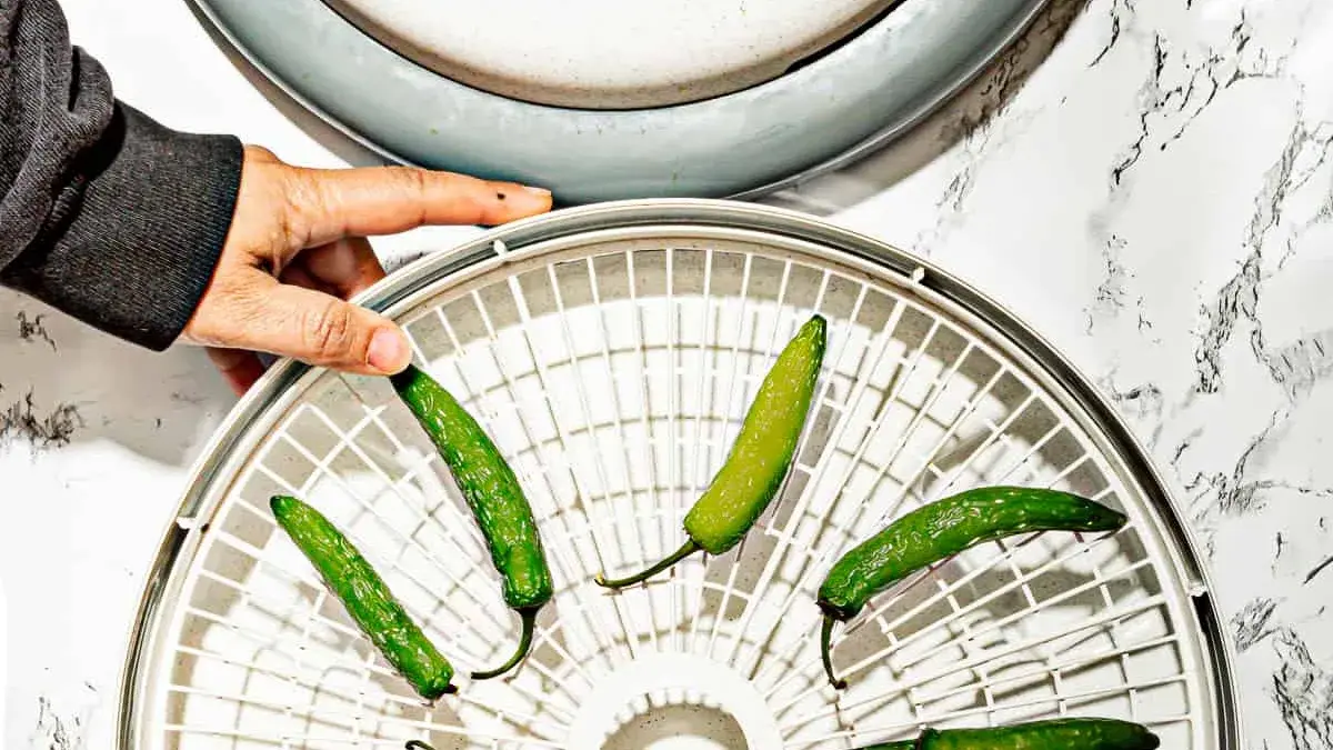 Beginner's Guide To Dehydrating Food