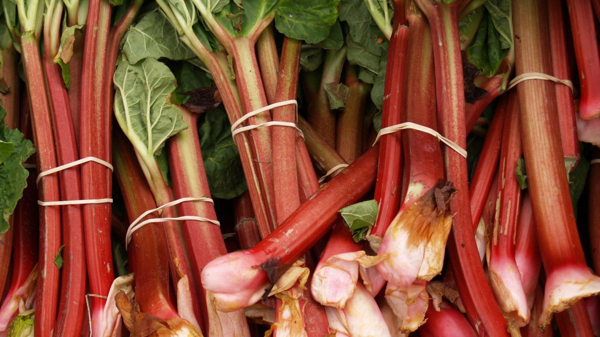 Make the Most of Your Farmers Market Haul