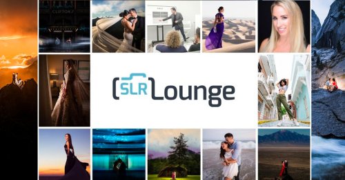 Zone Focusing Definition - What is Zone Focusing by SLR Lounge
