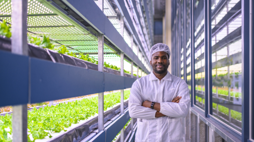 What are USDA Business Loans? Everything You Need to Know