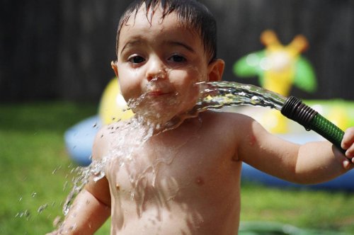 Is Your Garden Hose Toxic?