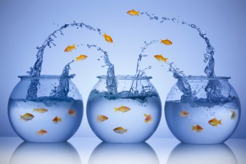 Drowning in leadership advice? Here’s a lifeline