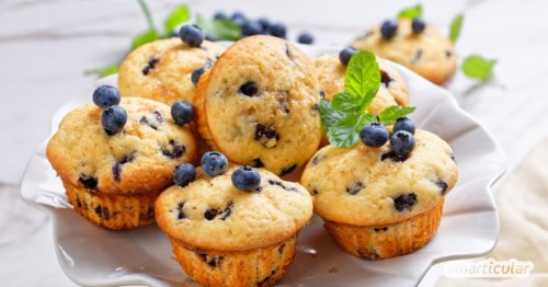 Saftige Blaubeermuffins: einfaches Rezept, auch vegan möglich