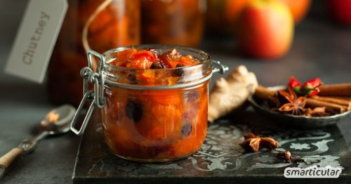 Apfelchutney: Würziges Rezept zum Konservieren deiner Apfelernte