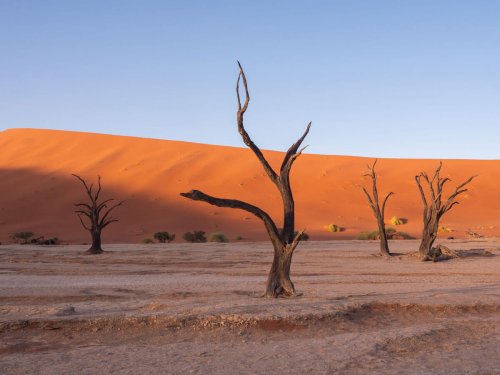 Sossusvlei & Deadvlei in Namibia für Selbstfahrer - Reisetipps & Fototipps - smilesfromabroad