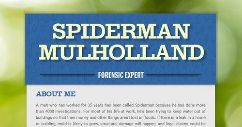 Spiderman Mulholland