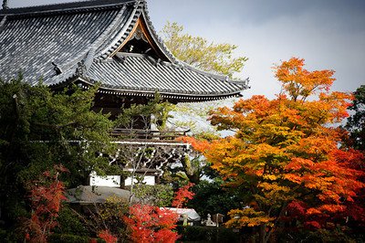 Your Kyoto Travel Guide