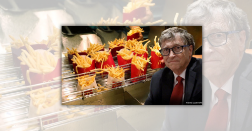 Does Bill Gates Own Farm That Produces Potatoes for McDonald's French Fries?