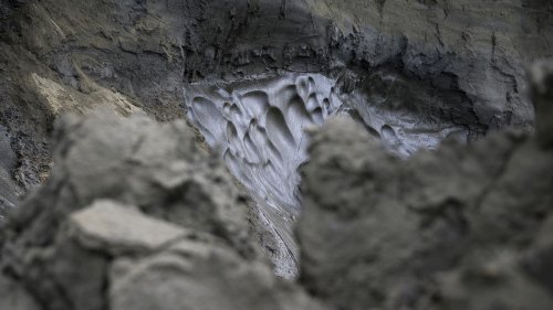 Scientists Study Thawed 'Zombie Virus' from Siberian Permafrost