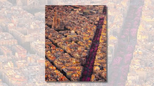 The Story Behind This Breathtaking Aerial View of Barcelona in Bloom