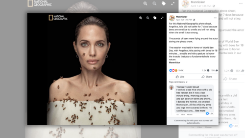 Angelina Jolie Didn't Bathe for 7 Days Before Posing in Photo Shoot with Live Bees?