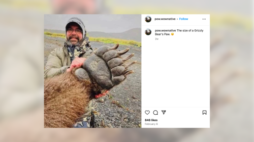Photo Accurately Shows Size of Bear Paw?