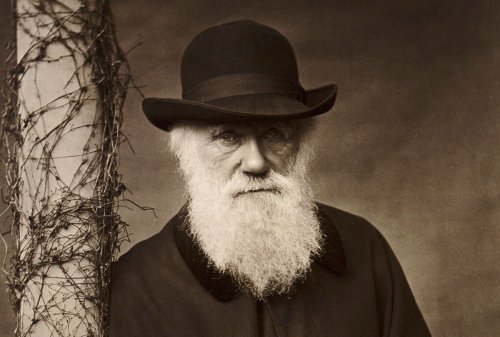 Did Charles Darwin Renounce His Theory of Evolution on His Deathbed?