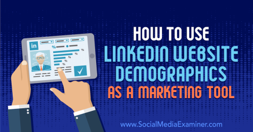 How to Use LinkedIn Website Demographics as a Marketing Tool