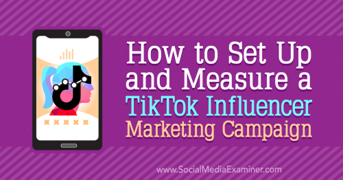 How to Set Up and Measure a TikTok Influencer Marketing Campaign