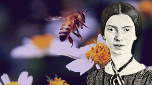 Emily Dickinson, la poetessa che parlava con le api