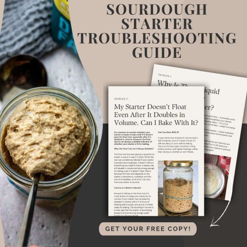 FREE Sourdough Starter Troubleshooting Guide