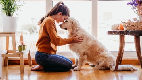 'AITA for kicking my sister and her baby out after what she did to my dog?' 'I had to teach him a lesson.'