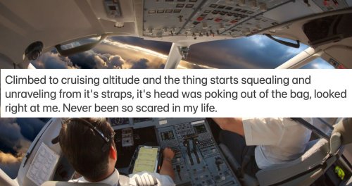 16 pilots share the scariest things they've seen while flying a plane.