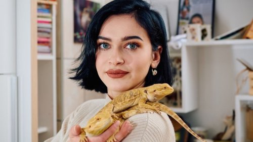 Gender reveal for lizard ends in emotional showdown between daughter and 'unsupportive' mom. AITA? + LIZARD DEFENSE AND PICS