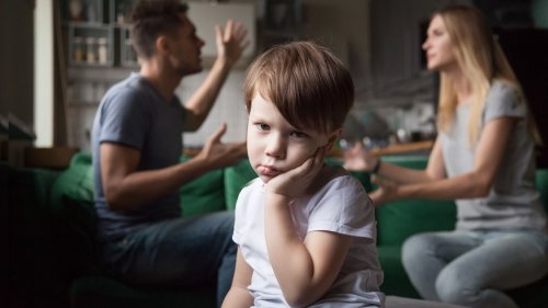'AITA for asking my SIL if she wanted to hurt my son just to prove she could get him to not have an allergic reaction?'