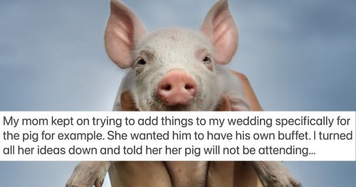 Bride asks if she's wrong to kick mom out of wedding for bringing a 'support animal.'