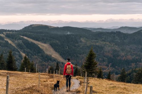 Wandern im Südschwarzwald – die schönsten Touren für Genießer (mit Hund) – Sonne & Wolken
