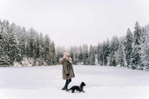 Winterwandern mit Baby (in der Trage) - Meine Tipps & Erfahrungen