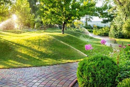 How Often Should You Water Your Lawn In The Summer?