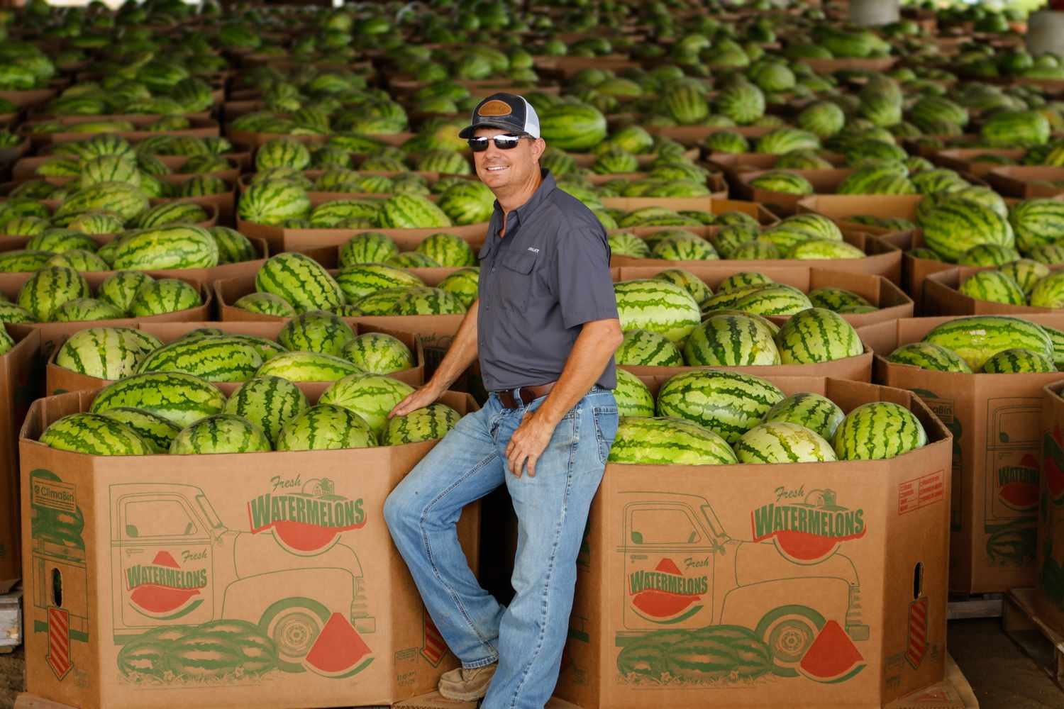 This Mississippi Farm Grows 500,000 Watermelons A Year, And People Come From All Over To Get Them