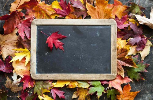 46 Creative Fall Chalkboard Ideas To Celebrate The Season