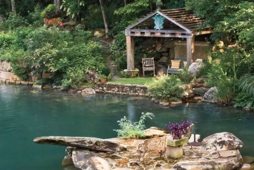 5 Water-Loving Plants That Flourish In Soggy Gardens