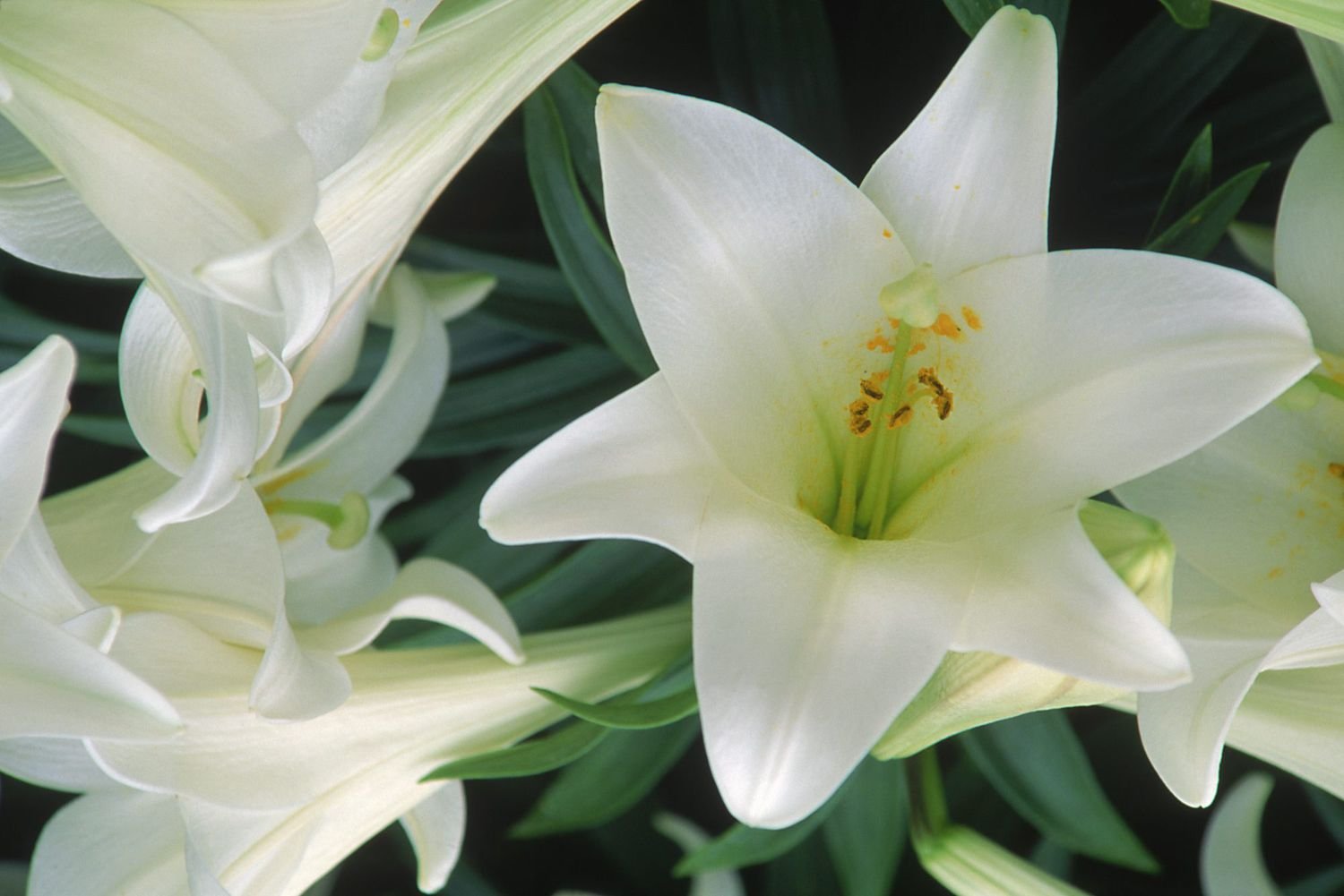 The Real Meanings Behind The Colors Of Easter