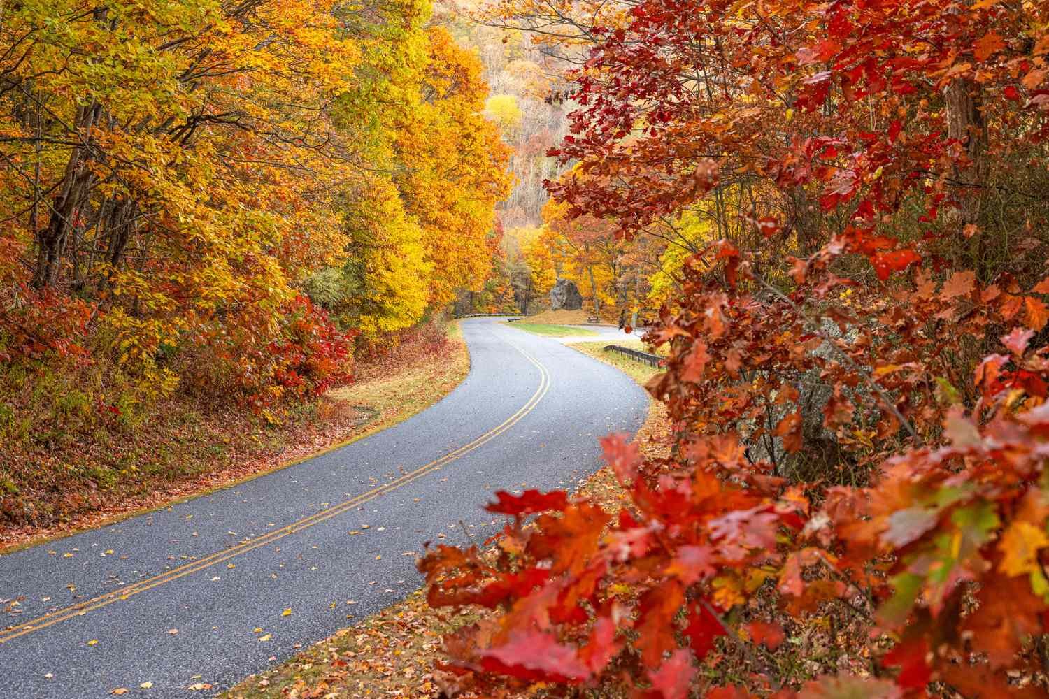 4 Scenic Road Trips For Stunning Fall Foliage