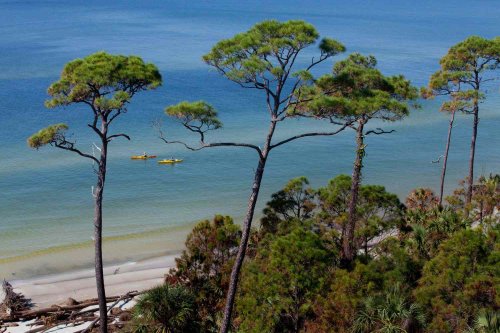 The Best Things To Do In Cape San Blas, Florida