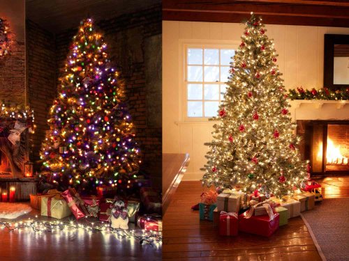 5 Types of Christmas Lights and Where to Use Them