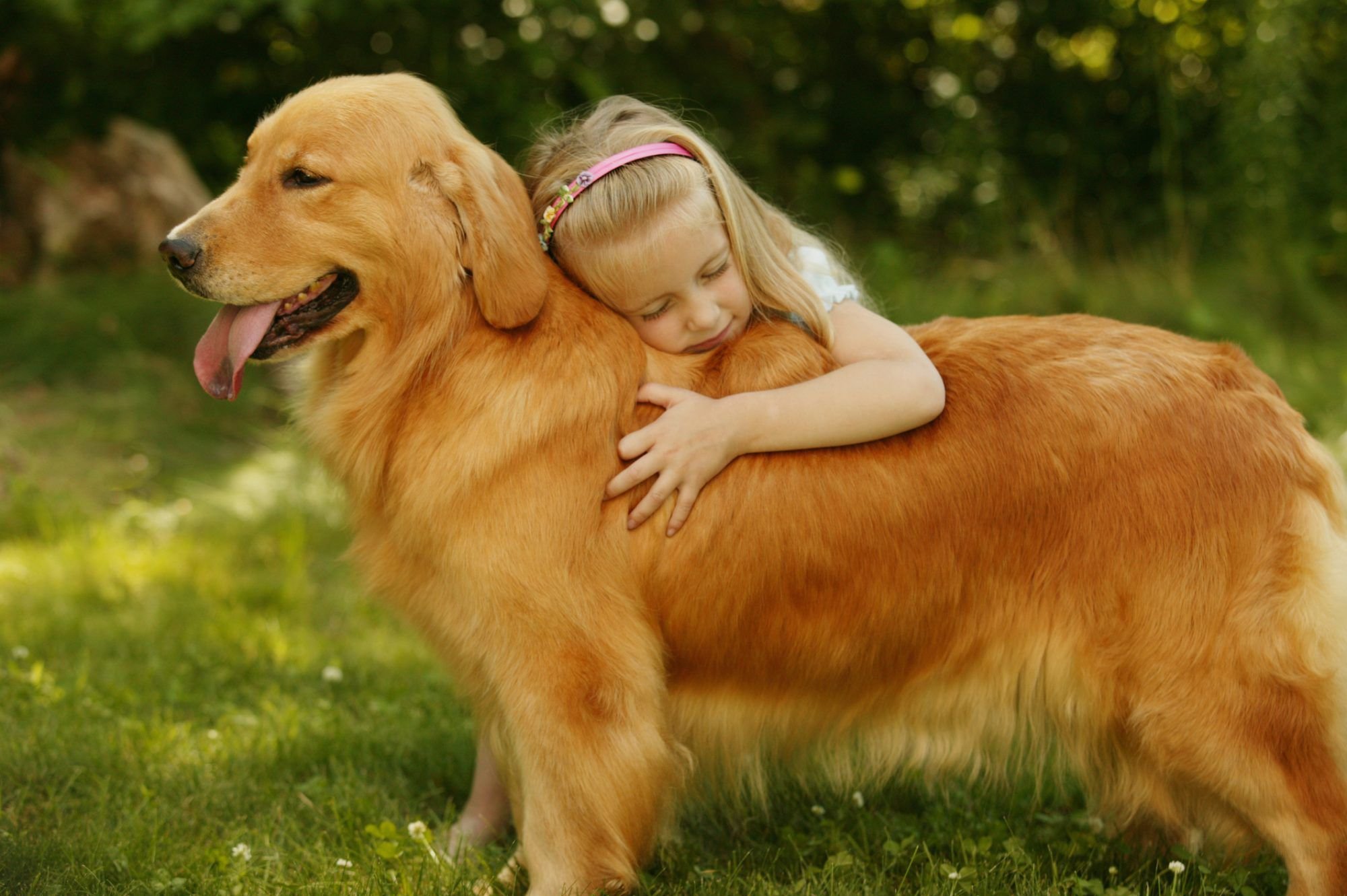 The Best Dog Breeds for Families With Kids