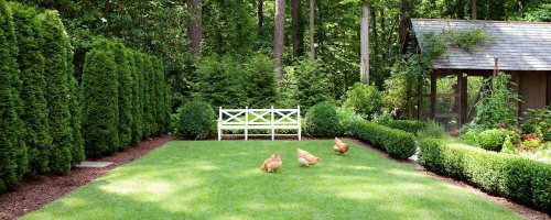 The Ultimate Guide To Southern Lawn Care