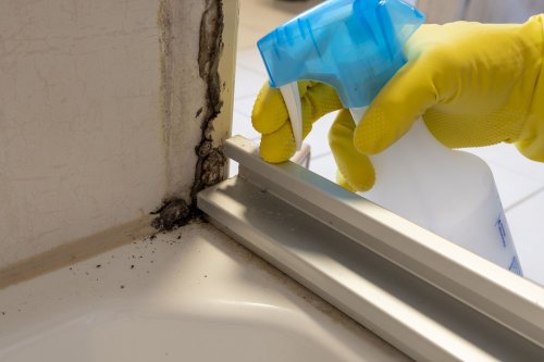 How To Get Rid Of Mold, According To Experts